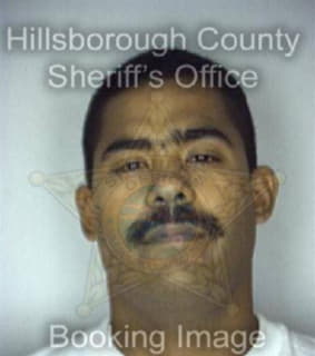 Rodriguez Elias - Hillsborough County, Florida 