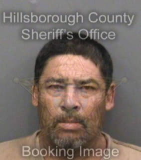 Ruizhernandez Juan - Hillsborough County, Florida 