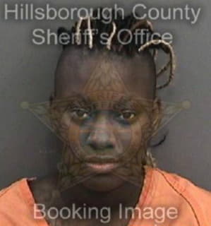 Pierce Ashley - Hillsborough County, Florida 