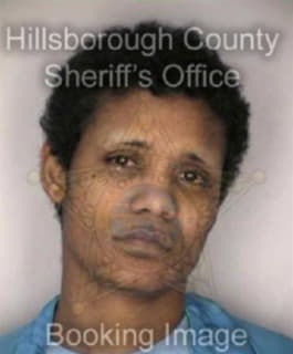 Scott Carol - Hillsborough County, Florida 