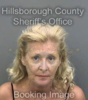 Cook Cynthia - Hillsborough County, Florida 