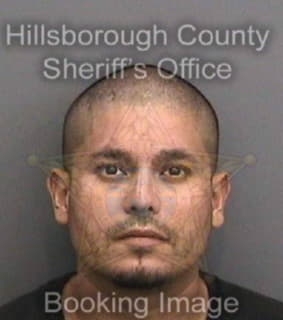 Deluna Herman - Hillsborough County, Florida 