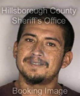 Rivera Jose - Hillsborough County, Florida 