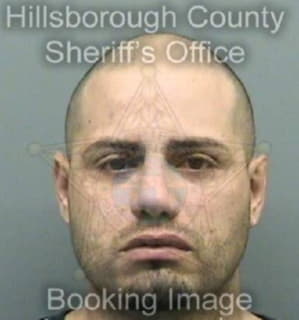 Leontorres Luis - Hillsborough County, Florida 