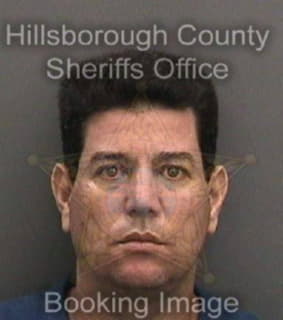 Hernandez Carlos - Hillsborough County, Florida 