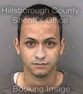 Ruiz Johnathan - Hillsborough County, Florida 