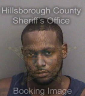 Williams Kalvin - Hillsborough County, Florida 