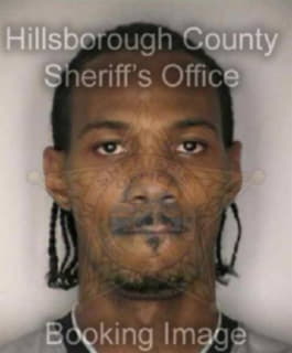 Wilson Marc - Hillsborough County, Florida 