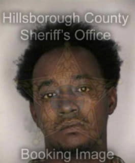 Mcclinton Corey - Hillsborough County, Florida 