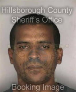 Deleo David - Hillsborough County, Florida 