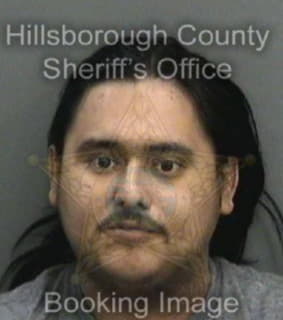 Hernandez Ivan - Hillsborough County, Florida 
