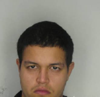 Cardona Mark - Hillsborough County, Florida 