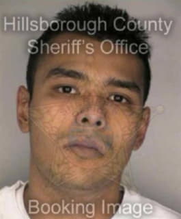 Ramirez Richard - Hillsborough County, Florida 