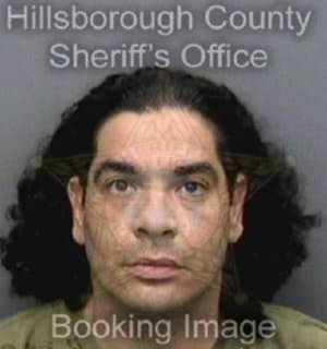 Lopez Richard - Hillsborough County, Florida 