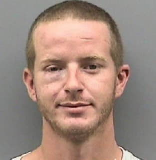 Vanham Ray - Hillsborough County, Florida 