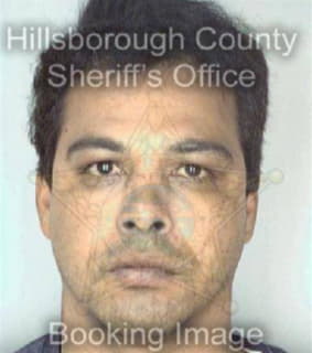 Rouzier Robert - Hillsborough County, Florida 