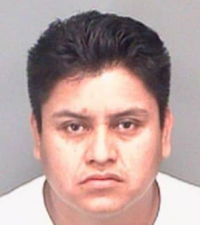 Martinezcarillo Esteban - Pinellas County, Florida 