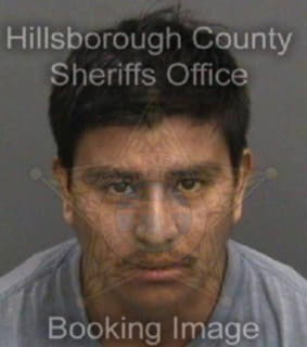 Angeles Rogello - Hillsborough County, Florida 