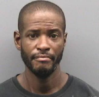 Williams Darrell - Hillsborough County, Florida 