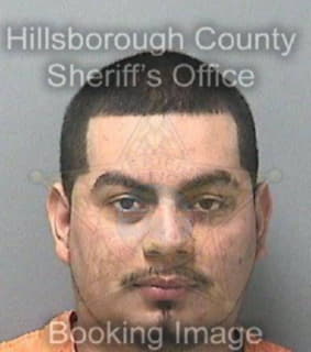 Rodriguez Leoncio - Hillsborough County, Florida 