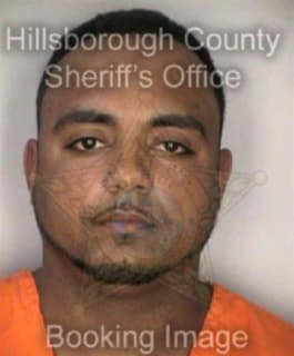 Batista Ramon - Hillsborough County, Florida 