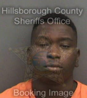 Mitchell Roshawn - Hillsborough County, Florida 