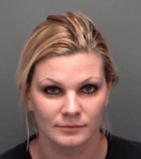 Meyer Desiree - Pinellas County, Florida 