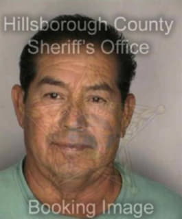 Rodriguez Ernesto - Hillsborough County, Florida 