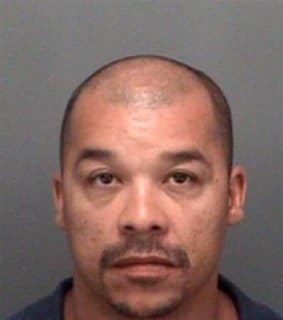 Gonzalez Fernando - Pinellas County, Florida 