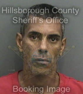 Flores Luis - Hillsborough County, Florida 