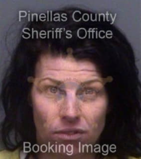 Ranallo Nicole - Pinellas County, Florida 