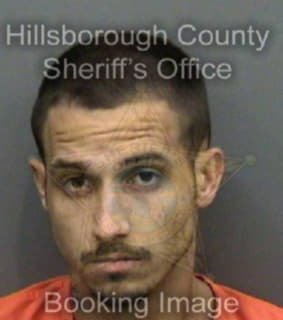 Perez Ryan - Hillsborough County, Florida 