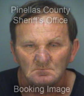 Mladic Branko - Pinellas County, Florida 