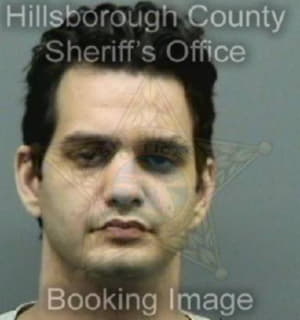 Kleiman David - Hillsborough County, Florida 