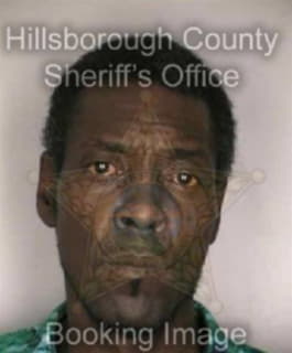 Wilson Michael - Hillsborough County, Florida 