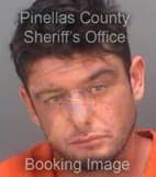 Heinkel Nicholas - Pinellas County, Florida 