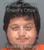 Berisha Armend - Pinellas County, Florida 