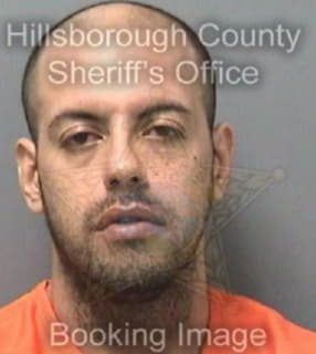 Rosa Regaldo - Hillsborough County, Florida 