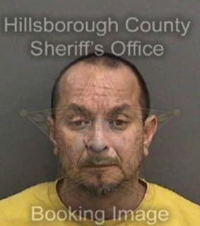 Castaneda Roy - Hillsborough County, Florida 