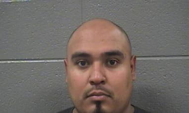 Garcia Andres - Cook County, Illinois 