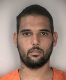 Scalzo Christopher - Hillsborough County, Florida 