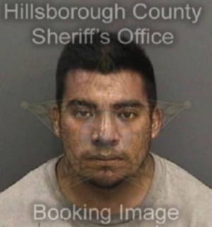 Diazdiaz Juan - Hillsborough County, Florida 