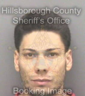 Lopezvelez Luis - Hillsborough County, Florida 