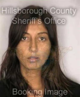 Batista Rosemar - Hillsborough County, Florida 