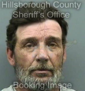 Mcminn Scott - Hillsborough County, Florida 