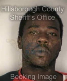 Bowers Steven - Hillsborough County, Florida 