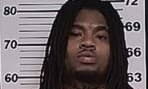 Lewis Anthony - Tunica County, Mississippi 