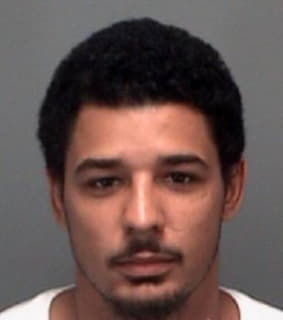 Hollis Deman - Pinellas County, Florida 