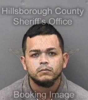 Cardenas-Guiterrez Juan - Hillsborough County, Florida 