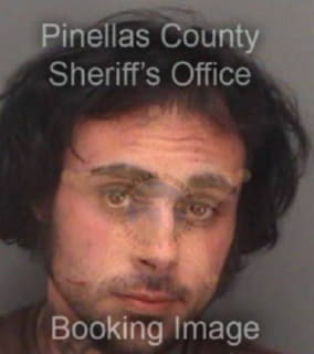 Altman Justin - Pinellas County, Florida 